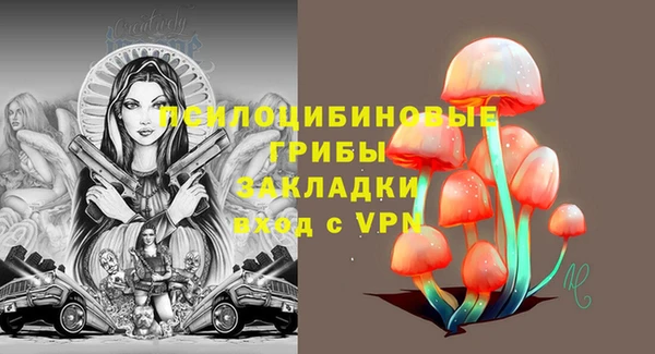 дмт Покачи