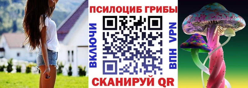 Галлюциногенные грибы ЛСД  Холм 